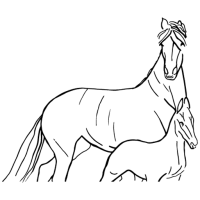 Hodowla Koni Papiernia FavIcon